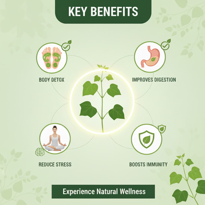 Shreeved Herbal Giloy Patches ( BUY 1 GET 1 FREE )